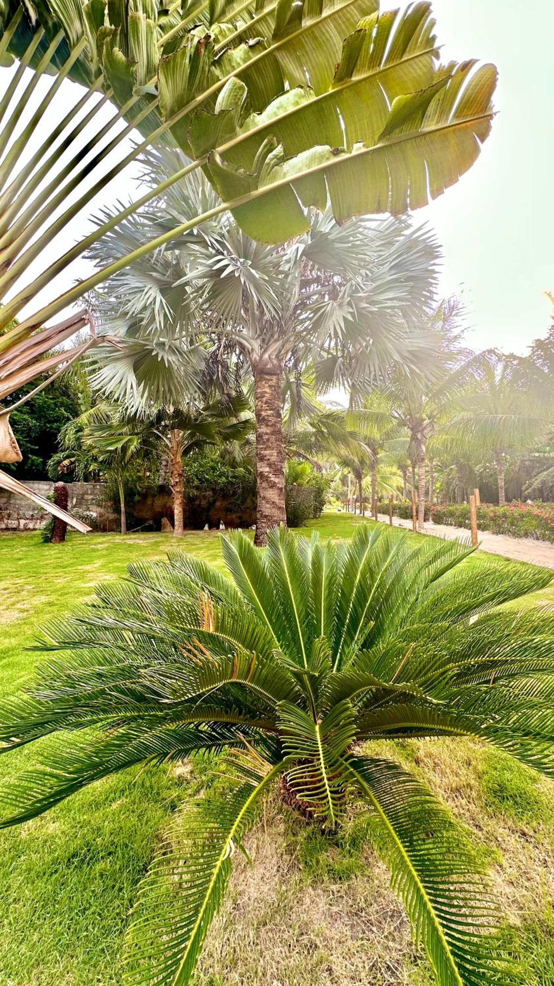 Villa Jaguar Fortim Luaran gambar